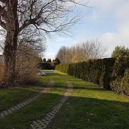 Ruegenherz Piratenhaus Parchtitz Luaran gambar